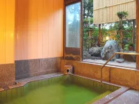 Hotel Hisagoso - Hot Springs