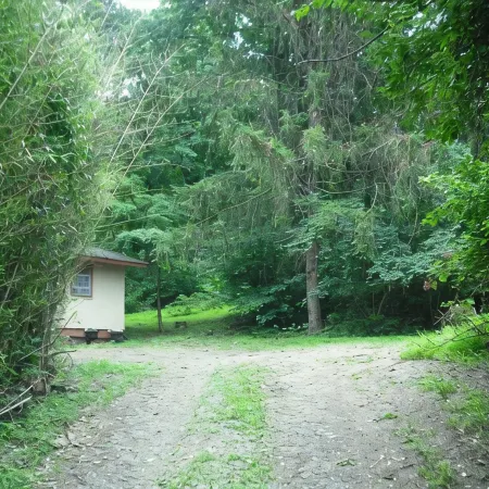 Blue Mountain Cabin, secluded, perfect for couples, near main road