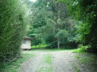 Blue Mountain Cabin, secluded, perfect for couples, near main road - Chalets