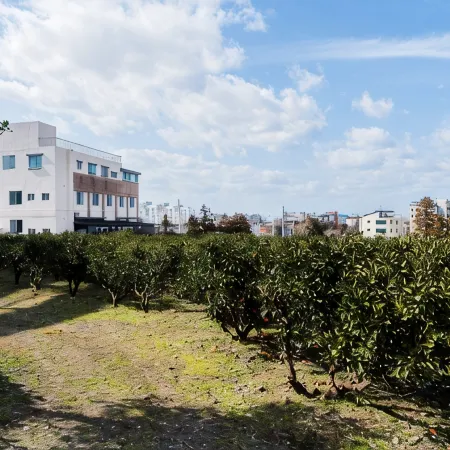 Jeju Baeknokdam Pension Отели рядом с достопримечательностью «Эко-лес Халла»