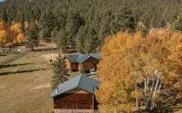 2 Private Cabins on an Secluded Acre, Walk to Restaurants, Fully Fenced - 홈스테이