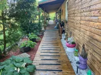 Log Cabin house on 10.5 acers of wooded land. Accommodates 20 plus guest. - 3-Star