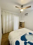 💙Blue flower (🦋Pet friendly) - 2-Star