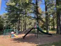 Cozy cabin nestled in the woods, 5 minutes to Sunapee Mountain & lake! - 4-Star