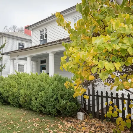 Mid-Century Downtown Staunton Loft