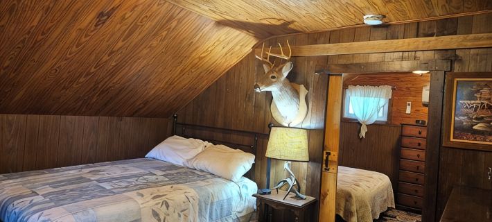 Historic pet friendly cabin with shooting range, and ATV trails on 80 acres. 프레드릭 카운티 호텔