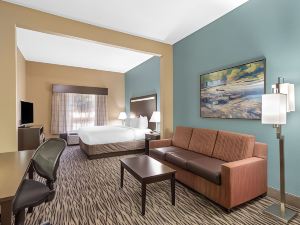 Best Western Plus McDonough Inn  Suites