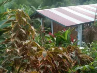 Berkey's Jungle Paradise Hotels near Morne Bruce Viewpoint