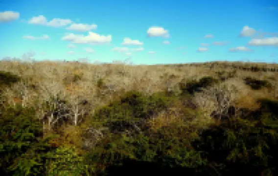 Ariana´S Galapagos Hostal