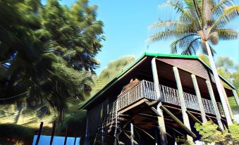 Viewpoint Lodge & Safari Tours