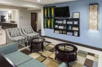Microtel Inn & Suites by Wyndham Greenville / Woodruff Rd