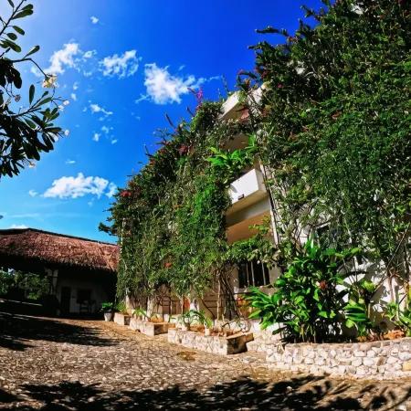 Divers Lodge Plumeria