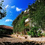 Divers Lodge Plumeria