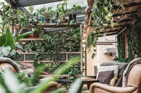 아크틱 라이트 호텔