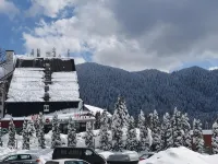 Hotel Piatra Mare Hôtels à : Rasnov