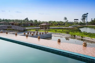 รูปภาพของพริ้วลมชมน้ำ