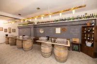 Pensiunea Rhein Hotels in Busteni