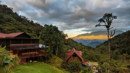 Tree Trek Boquete Adventure Park Отели в г. Лос Наранхос