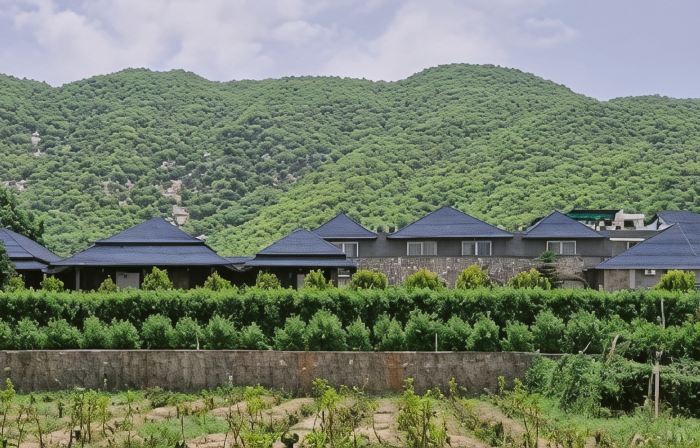Nature Retreat Resort