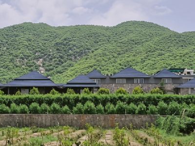 Nature Retreat Resort