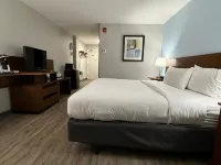 Silver Beach Hotel Hotels in Sankt Joseph