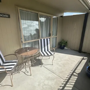 The Olive Motel