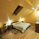 Hotel Dilizhans Hotels in Klinsky District