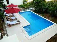 アパートメンツ ソング