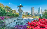 YaKorea Hostel Gangnam