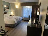 斯湯頓舒眠飯店