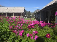 Kanas Lakeside Mountain Villa