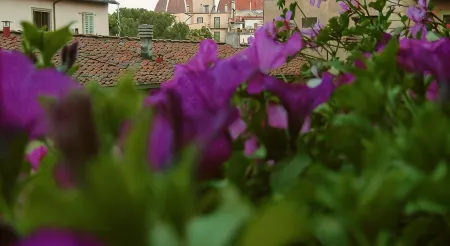 Hotel Desirèe