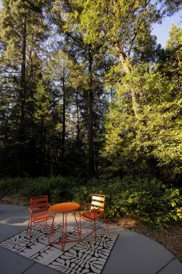 Secluded Forest Retreat, Saltwater Hot Tub, On-site Experiences, Minutes to Town