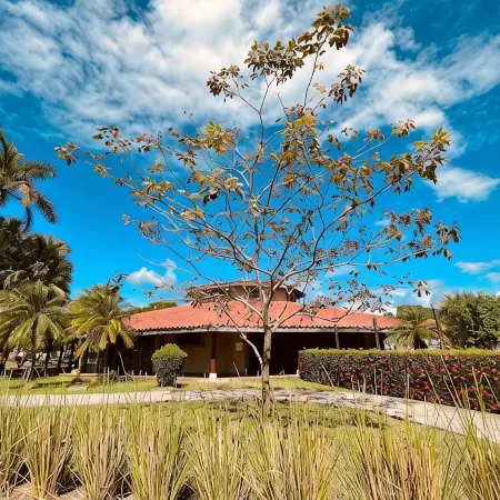 Welcome to your beachfront condo in Playa Bejuco!