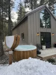Designer Cabin in Taos Ski Valley