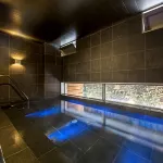 Super Hotel Premier Hakataeki - Hot Springs