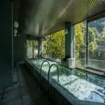 Minamitei - Hot Springs