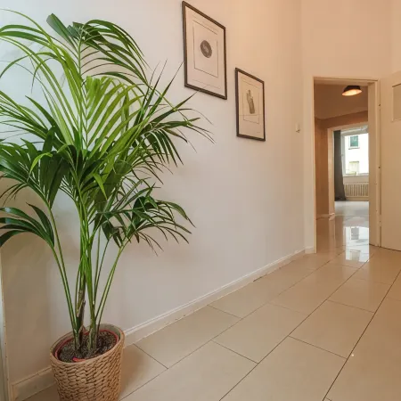 Castora Homes - City Apartment Kassel near train station