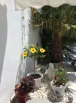 Modern villa with wifi private pool 300 m from the beach in Las Negras - 4-Star