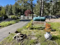 Peaceful Retreat with Ocean Views, Tall Pine Trees, and Beautiful Garden