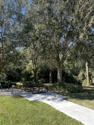 Coral Falls Resort BRAND NEW Designer Coastal Condo Lely Resort - 4-Star