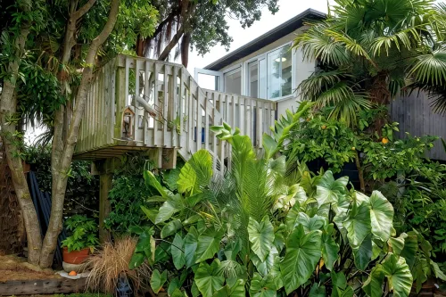 Pointbreak Studio - Apartments