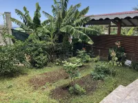 Studio Mawima Hotels in 