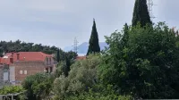 Apartment Noel Cavtat 1 - Pet friendly
