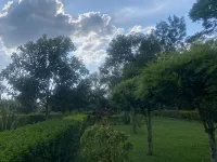 Nature flows Eco-Farm cottage & campsite - 2-Star