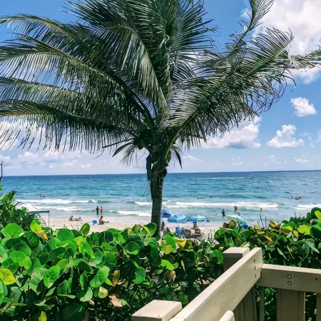 Boca Raton Home with Private Heated Pool, Close to Fau, Beach & Mizner!