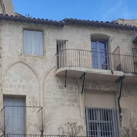 Montpellier Swallow in the heart of Montpellier's historic center