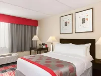 Albany Plaza Hotel Hotels in Albany
