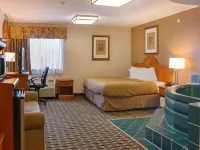 Quality Inn & Suites Detroit Metro Airport