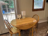 Tiny Cabin in the Laurels, with queen bed & queen sofa bed in wooded setting. - Alphydda